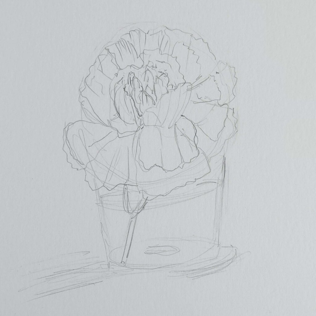 Pencil flower sketch