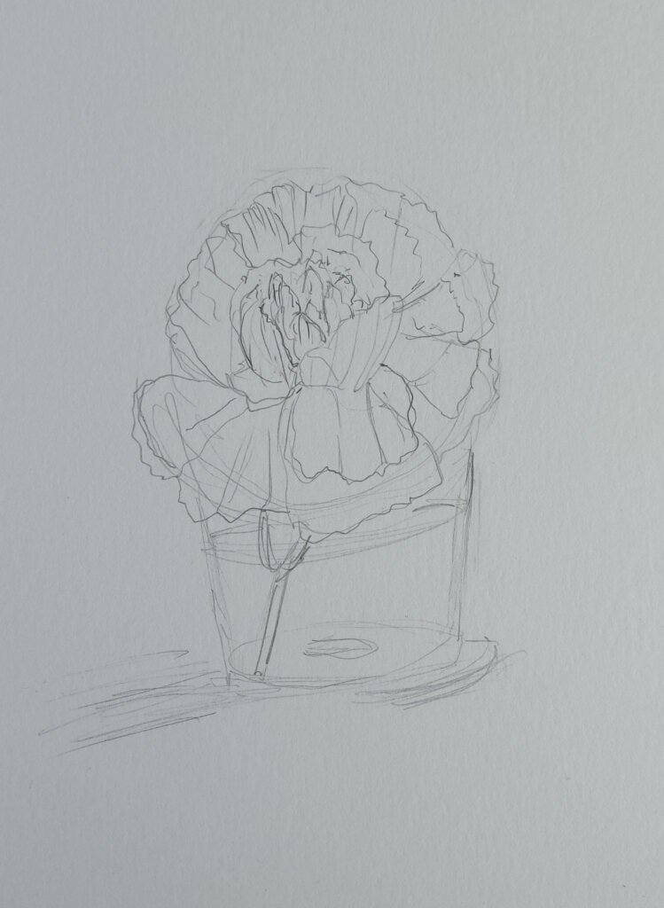 Pencil sketch of flower