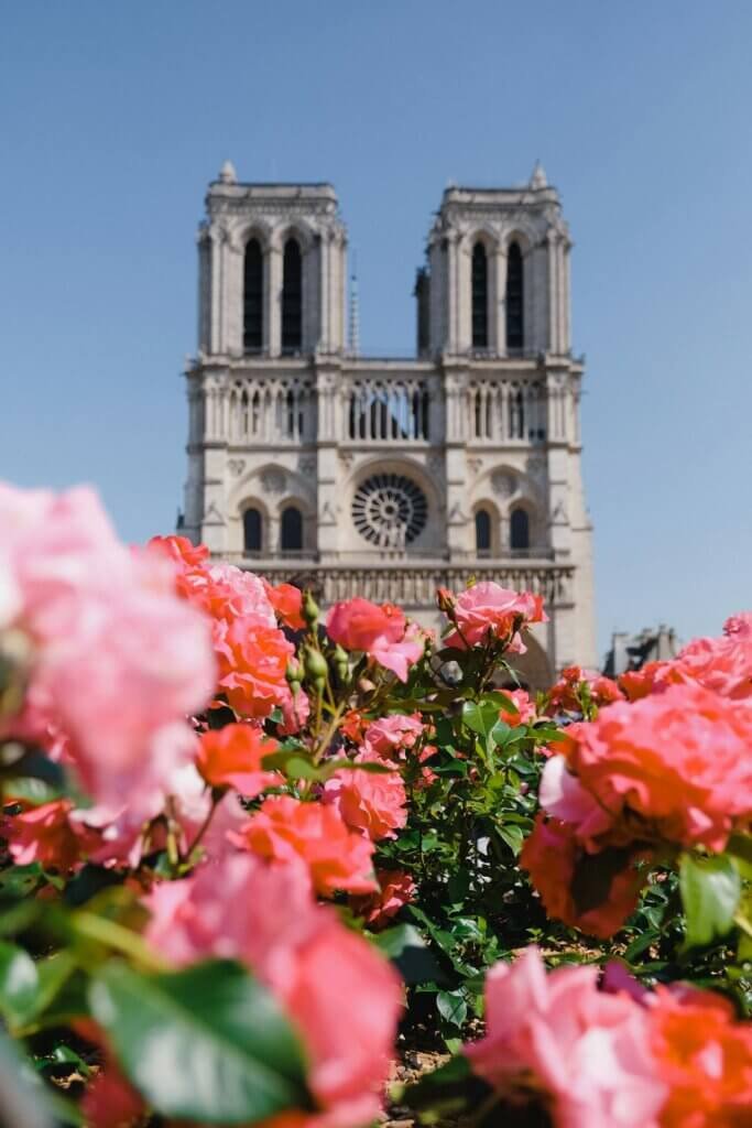Flowers near Notre Dame
