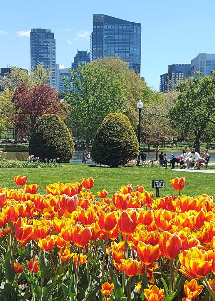 Public Garden photo