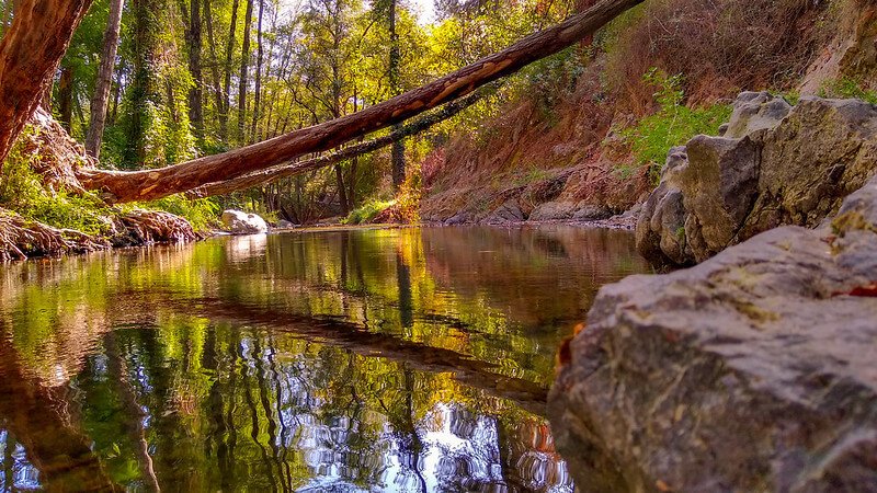 Troodos Mountains