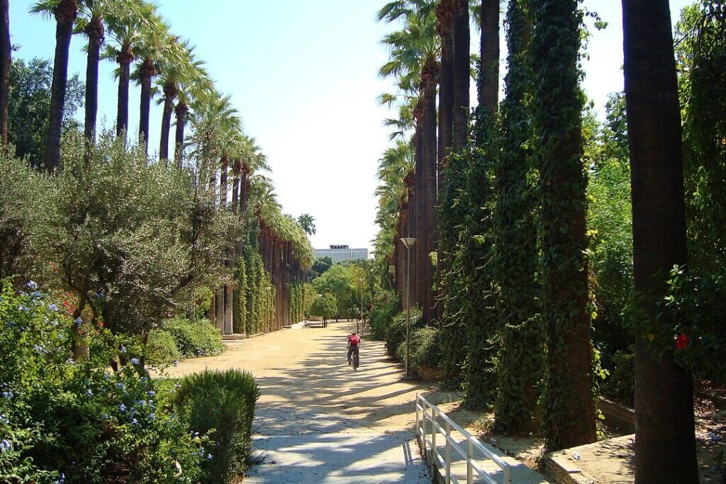 Municipal Gardens