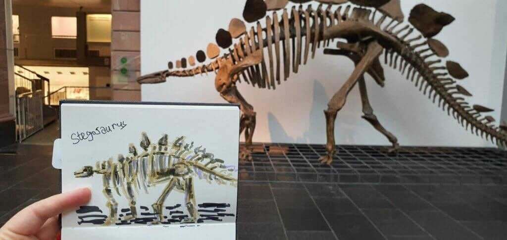 Dinosaur skeleton