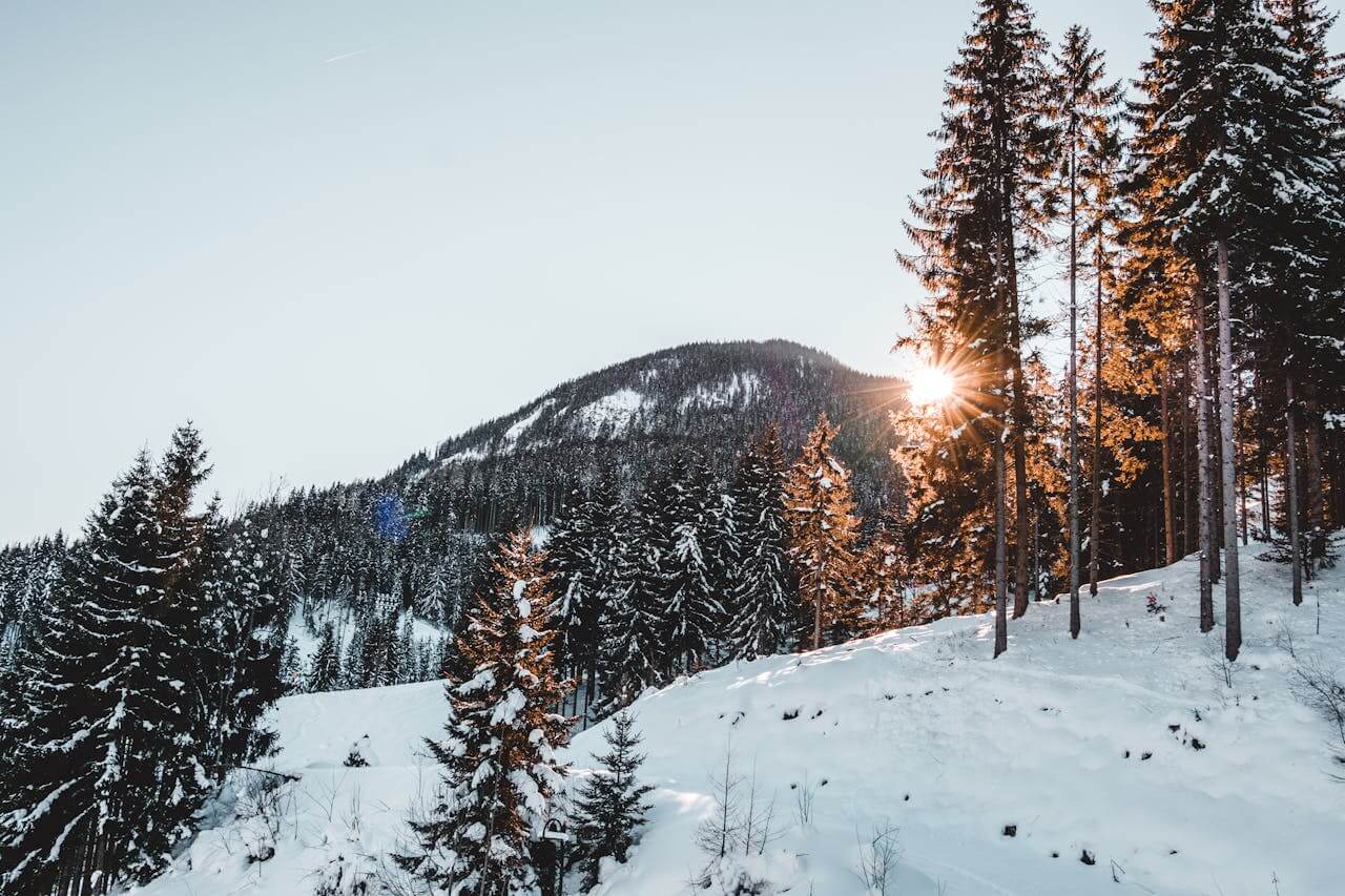 Winter landscape