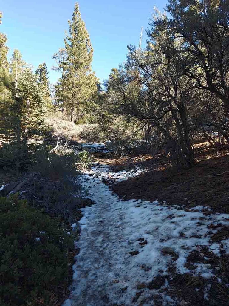 Snowy trail