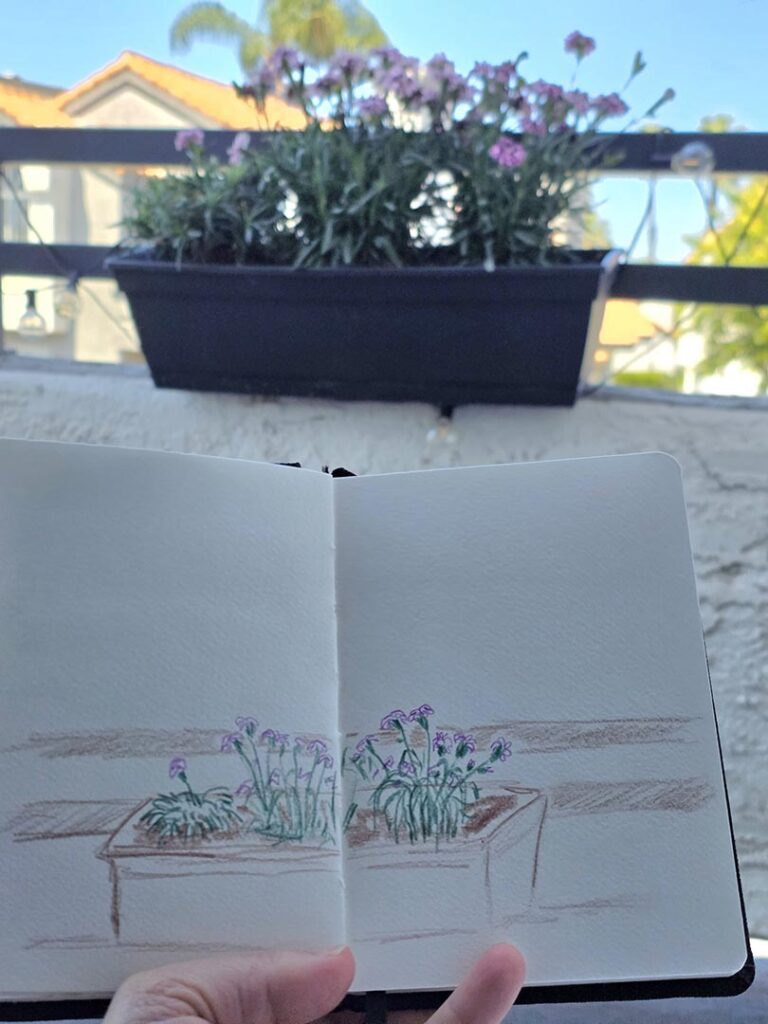 Sketching flowers