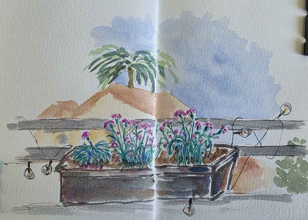 Flowers at the patio