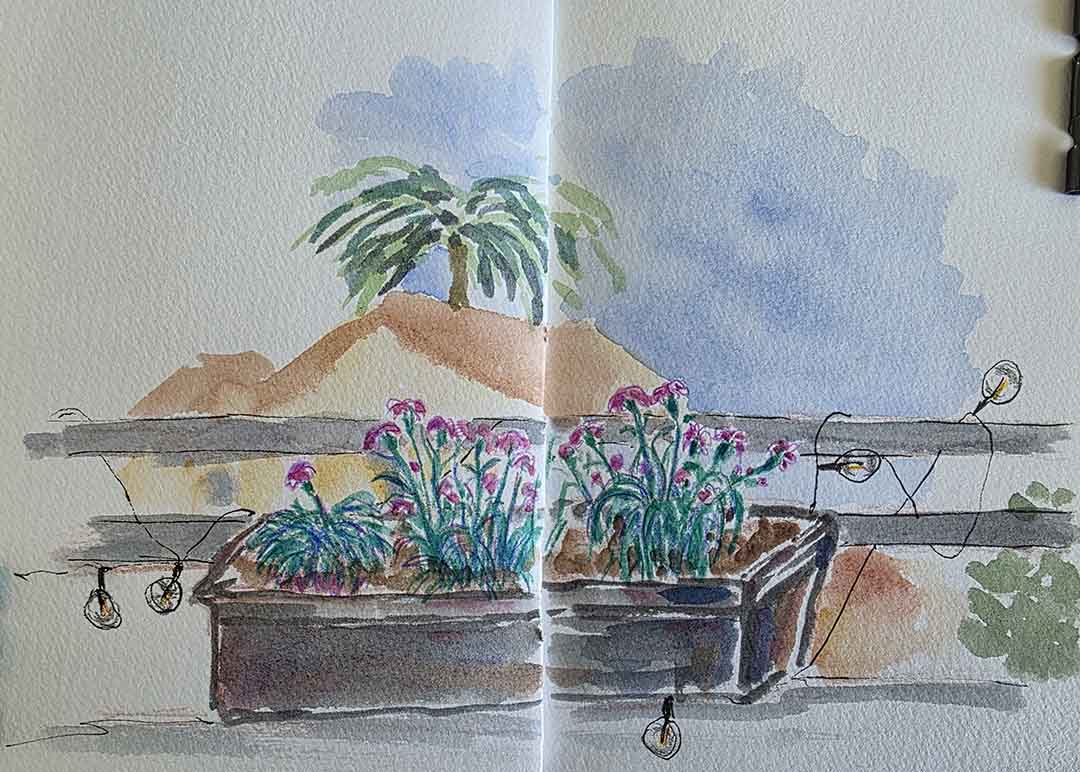 Flowers at the patio