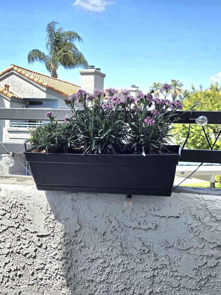 Sketching flowers referance