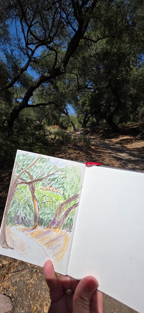 final drawing