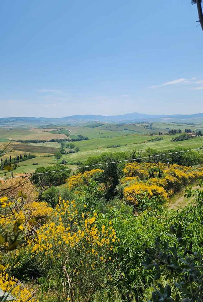 Downhill view