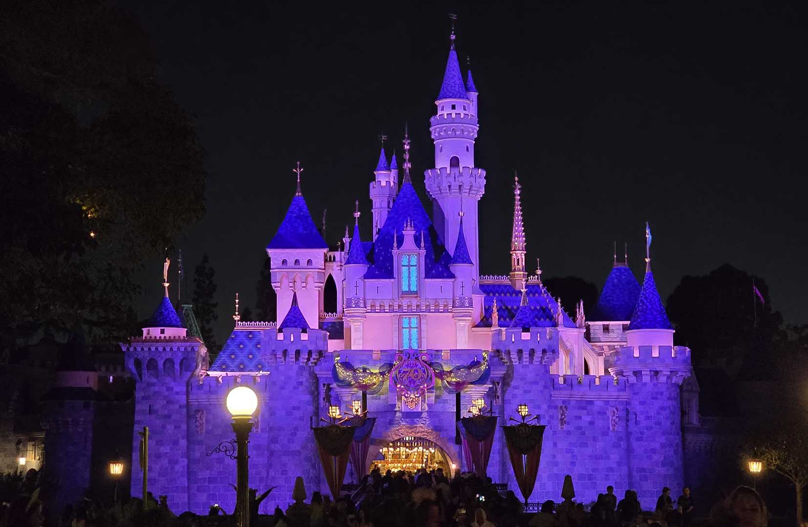 Disneyland Castle