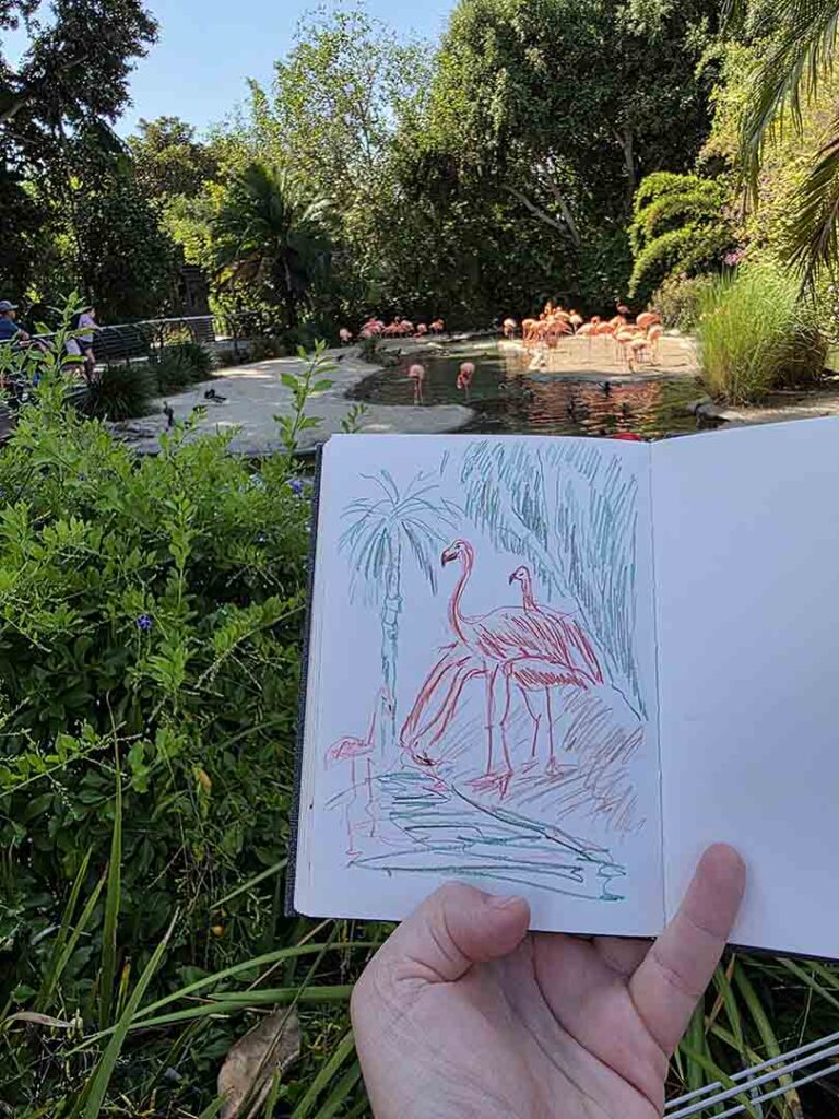 Sketching Flamingos