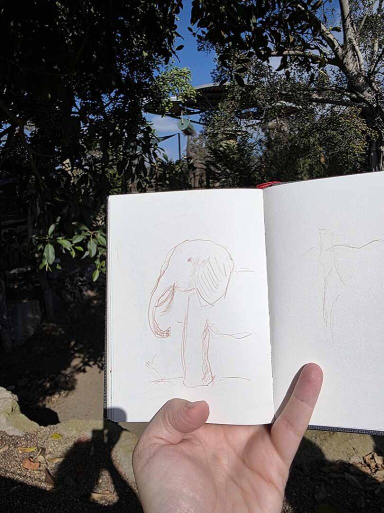 Sketching Elephant