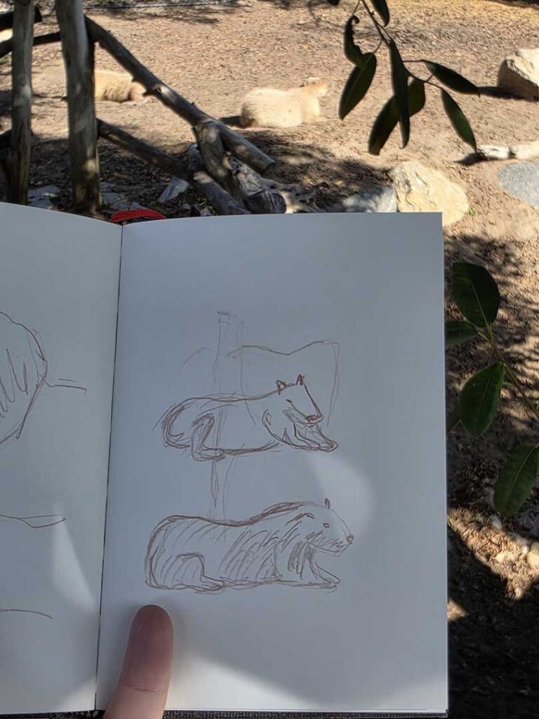 Capybara