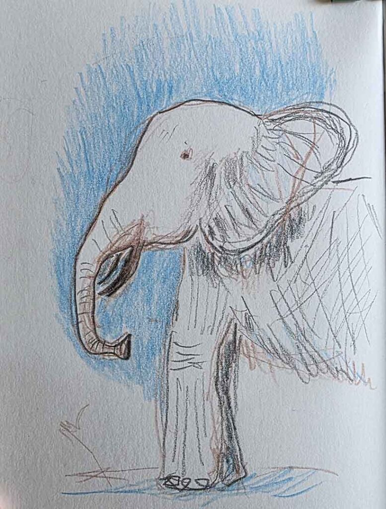 Sketching Elephant