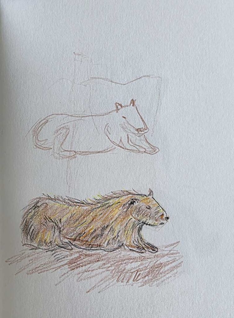 Capybara