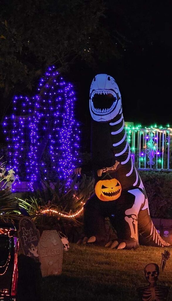 Dinosaur 