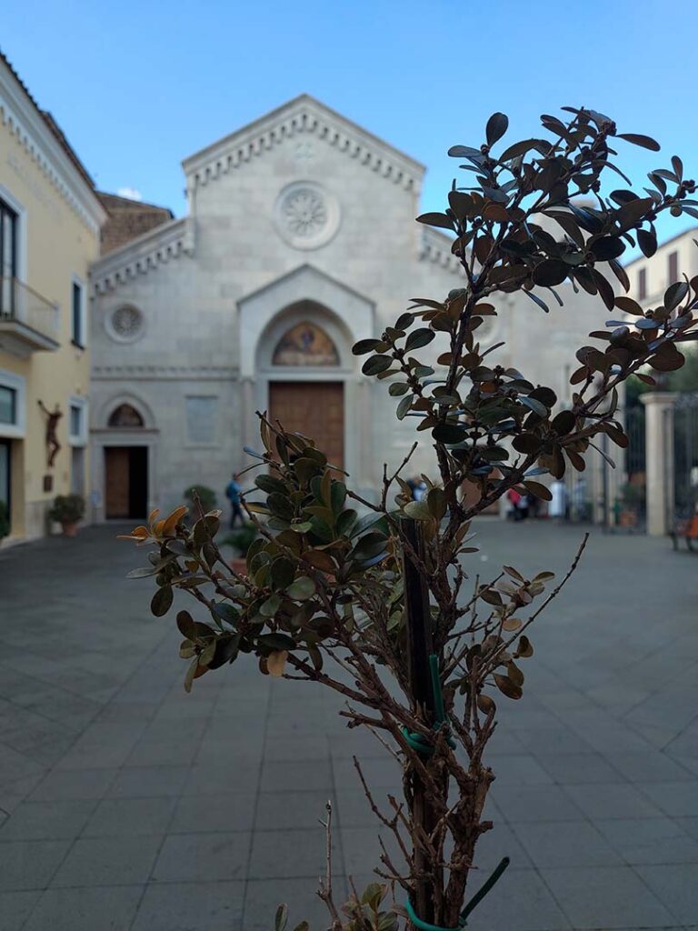 Cathedral of St Philip & James