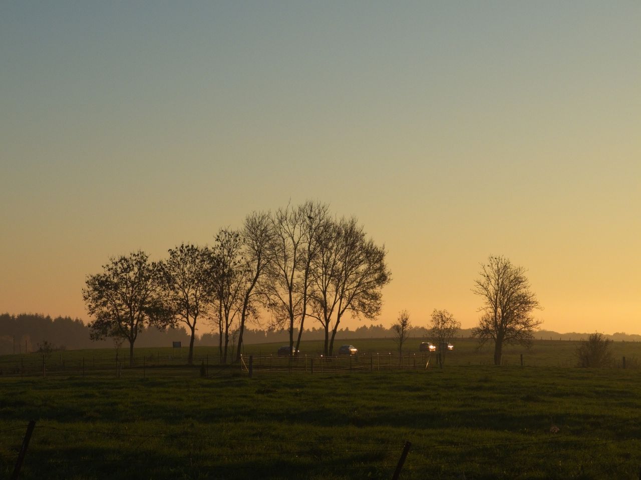 Evening landscape